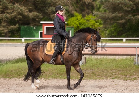 Girl rides her brown horse (New-Forest-Pony)