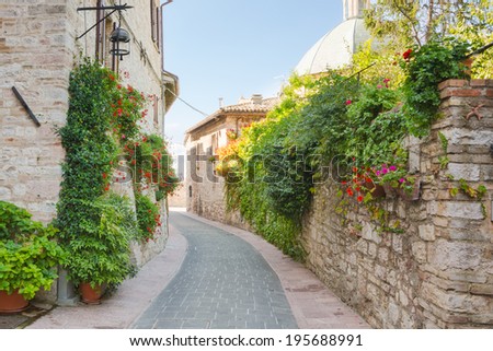 Historic alley with flowers