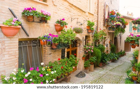 Alley with flowers