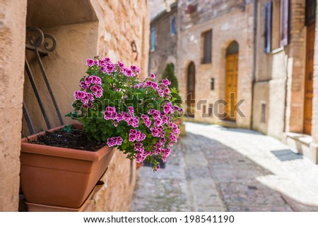 Vase of flowers in romantic alley