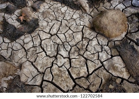 cracked mud dry riverbed
