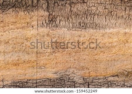 peat bog earth cross section texture