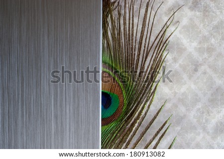 brushed metal peacock feather abstract
