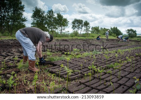 County Kerry, Ireland - May 31 2014: Workers cultivating peat bog blocks in a field outside the town of Listowel in County Kerry.