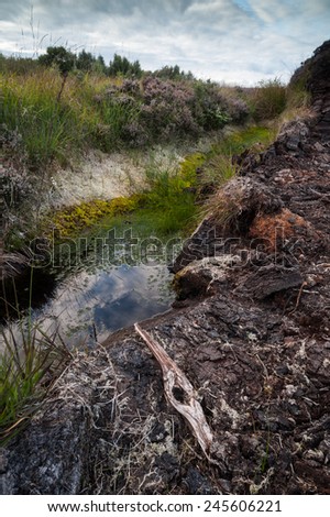 stream running through peat bog landscape in Ireland
