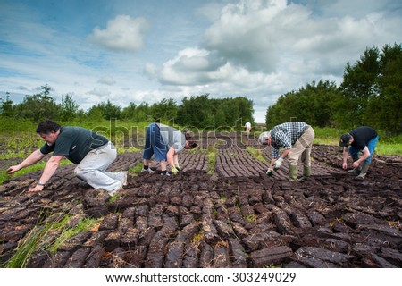County Kerry, Ireland - May 31, 2014: Workers cultivating a peak bog field outside the town of Listowel in County Kerry