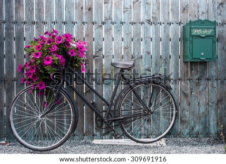 old vintage bicycle with flower basket