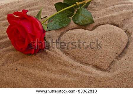 Red rose on the beach with a heart in the sand