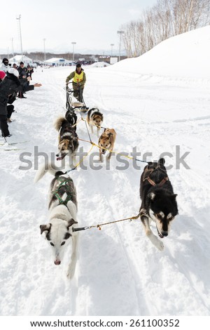 PETROPAVLOVSK-KAMCHATSKY, KAMCHATKA, RUSSIA - MARCH 2, 2014: Running dog sled team Kamchatka musher Vladimir Tynetegin. Kamchatka Dog Sledge Racing \