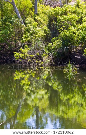 Awesome reflection on quiet water and tropical nature in Kakadu National Park, Australia.