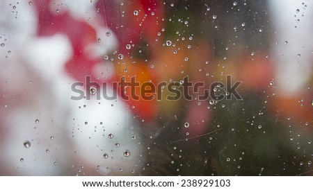 Many water drops on a rainy day on a red nature background on a typical autumn scene.