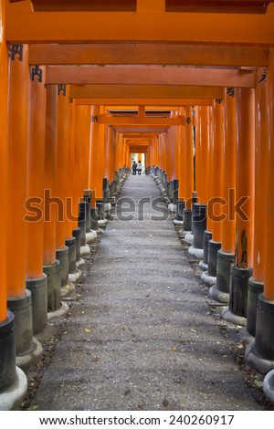 Long straight path of red tori gates perspective in Kyoto, Japan.