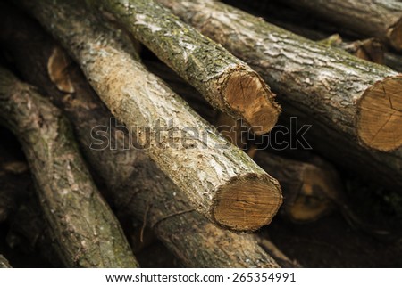 Wood logs pile make a background texture on a close still.