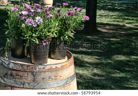 wine barrel with flowers
