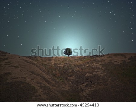 single tree on a starry night
