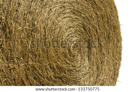 Roll of Straw or Hay for Cow and Livestock in The Farm. crop fit in frame