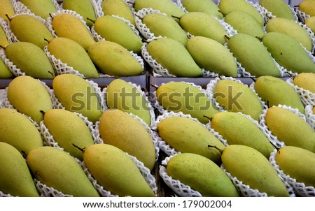 Ripen Mangoes lay as pattern. underlay with soft foam.