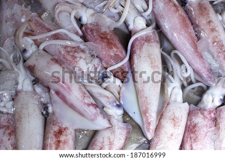 Fresh Squid pile up on ice.Top eye view shot.Delicious sea food.
