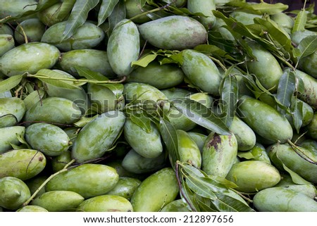 Pile Mangoes at fruit market, Mangoes\'s surface are green.
