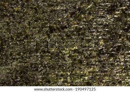 seaweed background texture