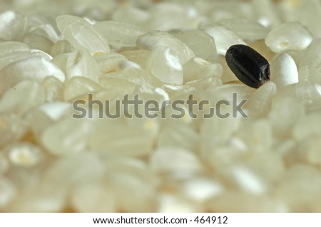 Black grain on white grain