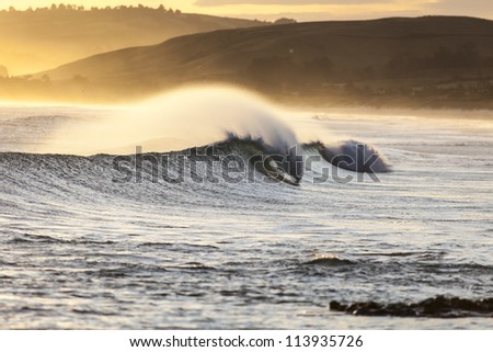 Wave Breaking/ an excellent wave peaks and breaks at Blackhead Beach, Dunedin, South Island, New Zealand