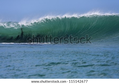 Heavy Wave/ a wave breaks over an extremely shallow reef break, with bull kelp getting sucked up the face of the wave