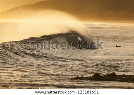 wave breaking/ an excellent surf wave breaks