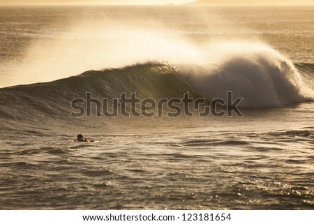 wave breaking/ an excellent surf wave breaks