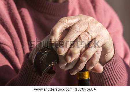 Elderly Woman's Hands/ an elderly widow rests her hands on her walking cane