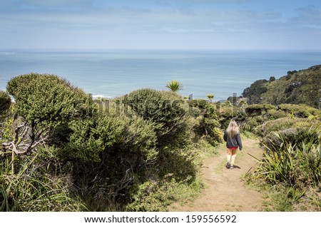 coastal hike/ weather blown bush on a coastal walk on Auckland's west coast