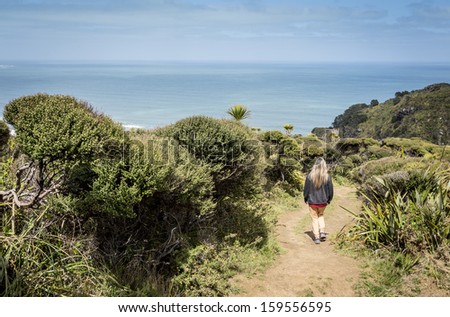 coastal hike/ weather blown bush on a coastal walk on Auckland\'s west coast