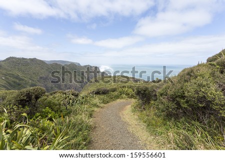 coastal hike/ weather blown bush on a coastal walk on Auckland\'s west coast
