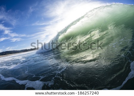 Barrelling Wave, New Zealand/ a perfect left had breaking wave pitches out to create a tube, the sort of wave surfers look to ride