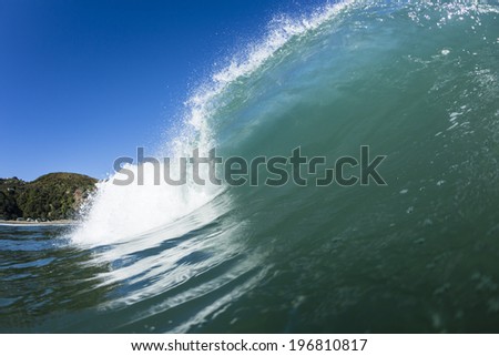 Tubing Wave/ a perfect left hand wave tubes at South Piha Beach, New Zealand.