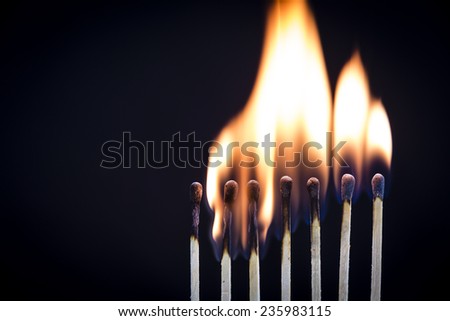 Match Fire/ a line-up of matchsticks on fire