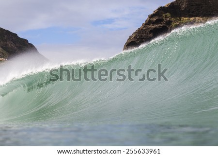 Big Wave/ a powerful big wave breaking perfectly at Piha Beach, New Zealand
