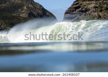 Big Wave/ a large powerful wave breaking at Piha Beach, New Zealand