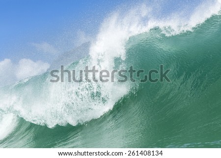 Big Wave/ a large powerful wave breaking at Piha Beach, New Zealand