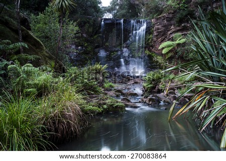 Mokoroa Falls, Waitakere, New Zealand/ Situated just a short 40 minute drive from Auckland\'s CBD