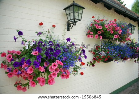 Iemand leuke goedkope tips om mijn tuin leuk te maken? Stock-photo-hanging-baskets-15506845