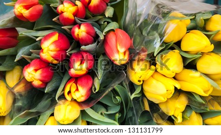 Red and yellow tulips bouquets background.