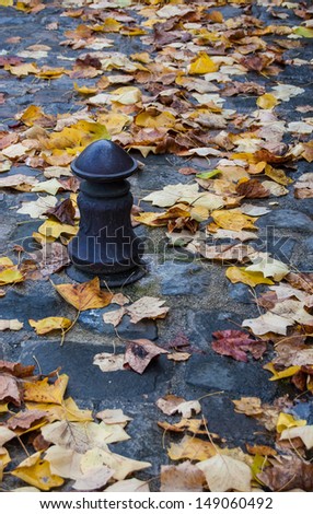 Colorful autumn leaves on the stone pavement and old iron cast roadblock column.