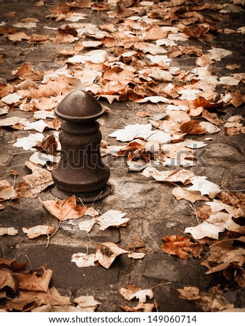 Colorful autumn leaves on the stone pavement and old iron cast roadblock column. Retro style. Retro style postcard.