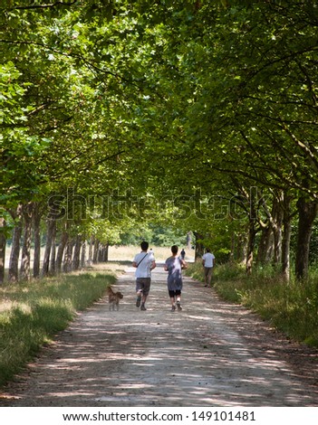 PARIS - JULY 13: Unidentified young man and woman and their dog jogging in Vincennes forest on July 13, 2013 in Paris, France. Bois de Vincennes (Vincennes forest) is the largest park of Paris.