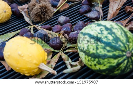 Autumn still life - gourds, chestnuts, fluffy platan fruits and faded leaves on iron grill background. Focus on chestnuts. Shallow depth of field.