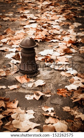 Colorful autumn leaves on the stone pavement and old iron cast roadblock column. Retro style.