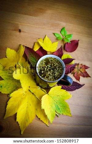 Cup of fennel tea with seeds on wooden background with colorful leaf decoration. Shaded angles.