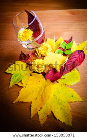 Wine glass with water, flower and leaf in it. Wooden background and colorful leaf and flower decoration. Shadowed angles. Focus on leaves.