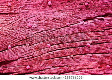 Old magenta wooden texture with nail heads and cracks.